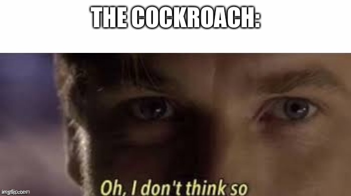 Oh, I don't think so | THE COCKROACH: | image tagged in oh i don't think so | made w/ Imgflip meme maker