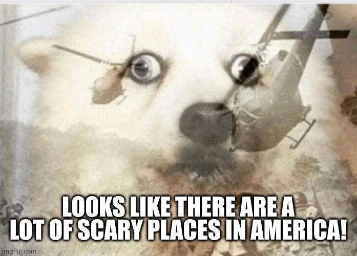 PTSD dog | LOOKS LIKE THERE ARE A LOT OF SCARY PLACES IN AMERICA! | image tagged in ptsd dog | made w/ Imgflip meme maker