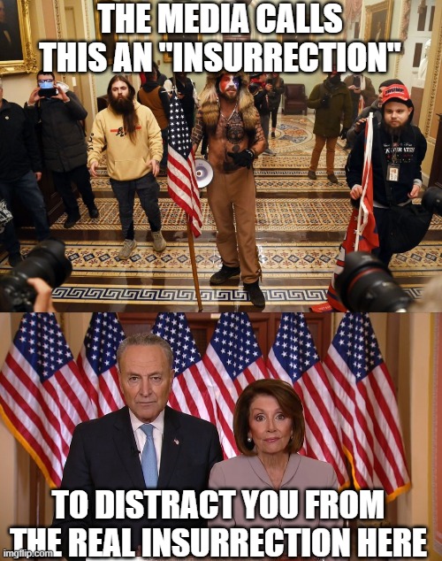 THE MEDIA CALLS THIS AN "INSURRECTION" TO DISTRACT YOU FROM THE REAL INSURRECTION HERE | image tagged in capitol buffalo guy,chuck and nancy | made w/ Imgflip meme maker