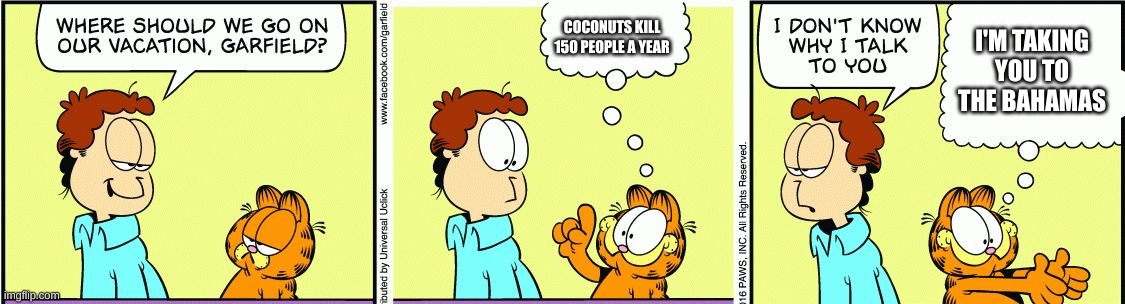 Garfield comic vacation | COCONUTS KILL 150 PEOPLE A YEAR; I'M TAKING YOU TO THE BAHAMAS | image tagged in garfield comic vacation | made w/ Imgflip meme maker