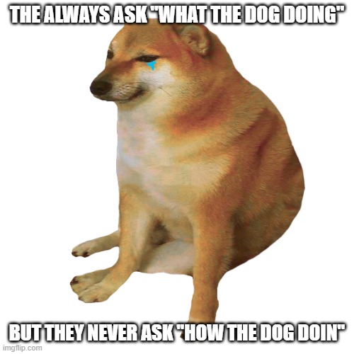Sad doggo :( | THE ALWAYS ASK "WHAT THE DOG DOING"; BUT THEY NEVER ASK "HOW THE DOG DOIN" | image tagged in cheems | made w/ Imgflip meme maker