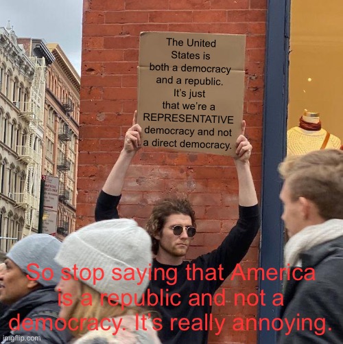 For some reason conservatives say America is a republic and not a democracy as and argument to keep the Electoral College | The United States is both a democracy and a republic. It’s just that we’re a REPRESENTATIVE democracy and not a direct democracy. So stop saying that America is a republic and not a democracy. It’s really annoying. | image tagged in memes,guy holding cardboard sign,america,america is both a republic and a democracy | made w/ Imgflip meme maker