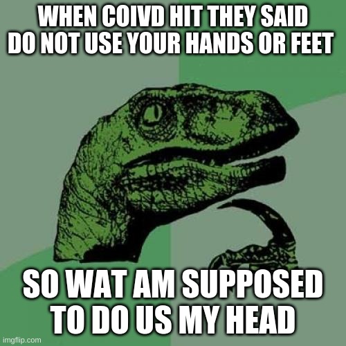 wat? | WHEN COIVD HIT THEY SAID DO NOT USE YOUR HANDS OR FEET; SO WAT AM SUPPOSED TO DO US MY HEAD | image tagged in memes,philosoraptor | made w/ Imgflip meme maker