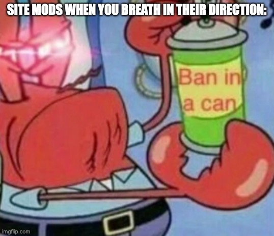 Ban in a can | SITE MODS WHEN YOU BREATH IN THEIR DIRECTION: | image tagged in ban in a can | made w/ Imgflip meme maker