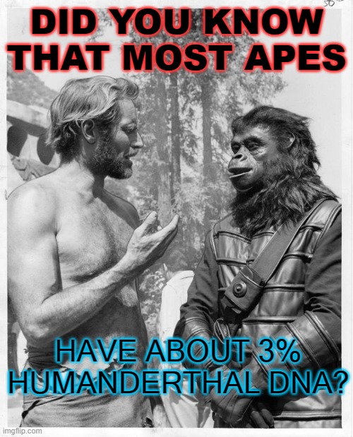 Did you know that most apes have about 3%  Humanderthal DNA? |  DID YOU KNOW THAT MOST APES; HAVE ABOUT 3% HUMANDERTHAL DNA? | image tagged in planet of the apes | made w/ Imgflip meme maker