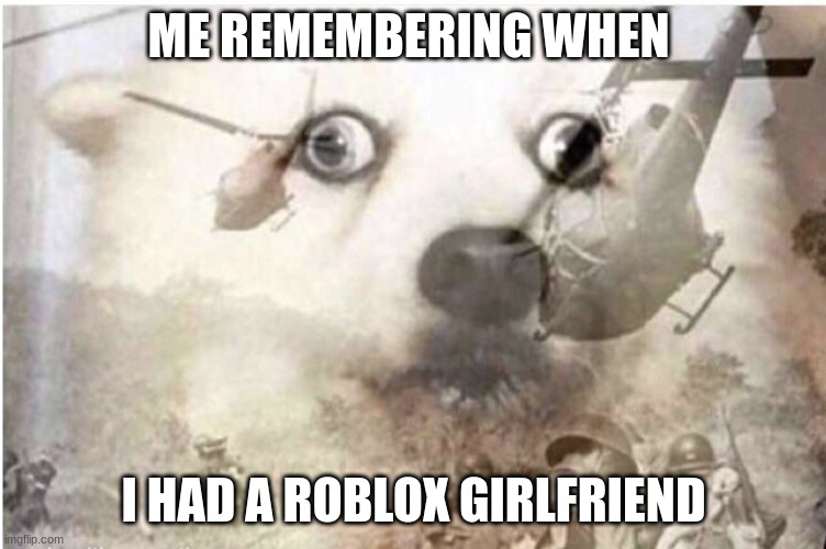 yes, i know i was a cringeball. | ME REMEMBERING WHEN; I HAD A ROBLOX GIRLFRIEND | image tagged in dog vietnam | made w/ Imgflip meme maker