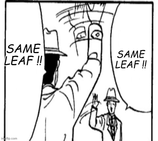 SAME LEAF !! SAME LEAF !! | image tagged in plante | made w/ Imgflip meme maker