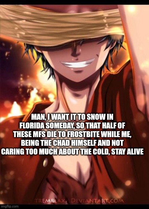 Floridians be dumb, that's why | MAN, I WANT IT TO SNOW IN FLORIDA SOMEDAY, SO THAT HALF OF THESE MFS DIE TO FROSTBITE WHILE ME, BEING THE CHAD HIMSELF AND NOT CARING TOO MUCH ABOUT THE COLD, STAY ALIVE | image tagged in luffy hidden smile | made w/ Imgflip meme maker