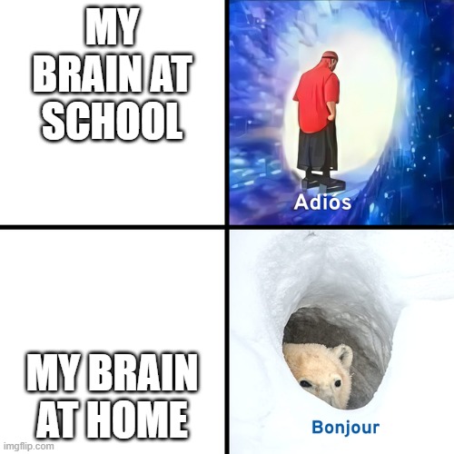 W h y  d o e s  t h i s  h a p p e n  t o  m e | MY BRAIN AT SCHOOL; MY BRAIN AT HOME | image tagged in adios bonjour,memes | made w/ Imgflip meme maker