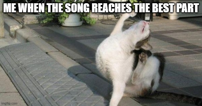 song best part makes me c r a z y | ME WHEN THE SONG REACHES THE BEST PART | image tagged in curse you villain cat | made w/ Imgflip meme maker