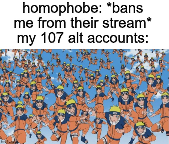 homophobe: *bans me from their stream*
my 107 alt accounts: | image tagged in memes,blank transparent square,naruto kage bunshin no jutsu shadow clone | made w/ Imgflip meme maker