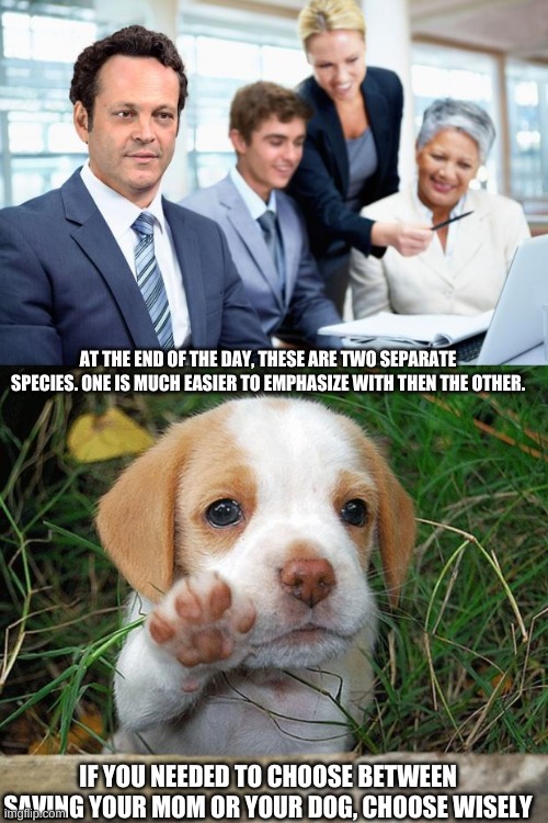 AT THE END OF THE DAY, THESE ARE TWO SEPARATE SPECIES. ONE IS MUCH EASIER TO EMPHASIZE WITH THEN THE OTHER. IF YOU NEEDED TO CHOOSE BETWEEN  | image tagged in stock photo vince vaughn,dog puppy bye | made w/ Imgflip meme maker