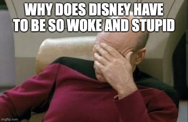 Captain Picard Facepalm Meme | WHY DOES DISNEY HAVE TO BE SO WOKE AND STUPID | image tagged in memes,captain picard facepalm | made w/ Imgflip meme maker