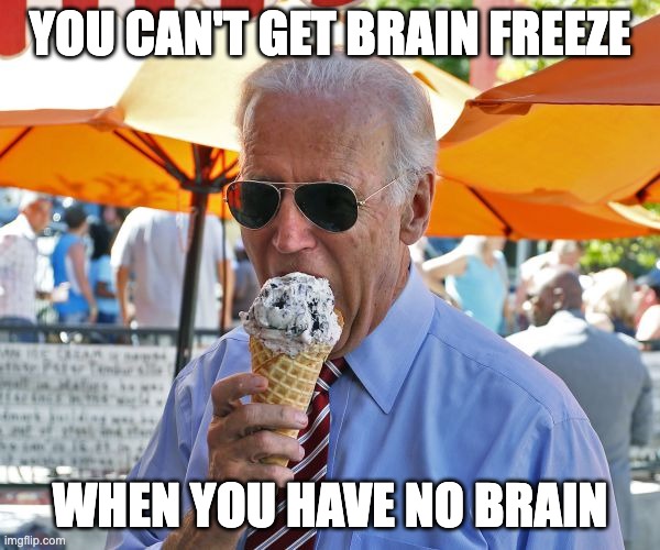 He's not wrong here ... | YOU CAN'T GET BRAIN FREEZE; WHEN YOU HAVE NO BRAIN | image tagged in joe biden eating ice cream,doofus,worst president ever | made w/ Imgflip meme maker