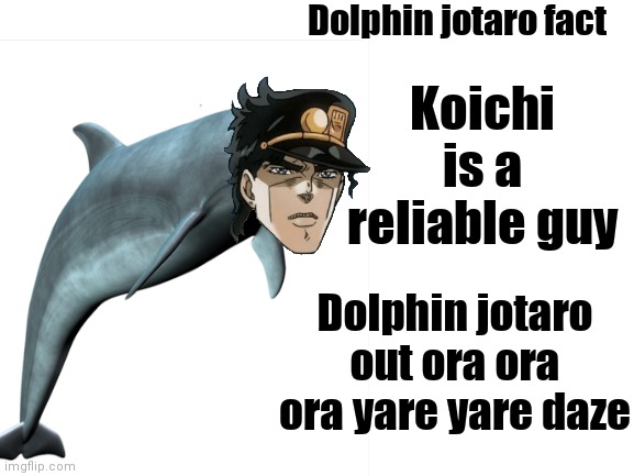 Dolphin jotaro fact; Koichi is a reliable guy; Dolphin jotaro out ora ora ora yare yare daze | image tagged in jotaro,dolphins,jjba | made w/ Imgflip meme maker
