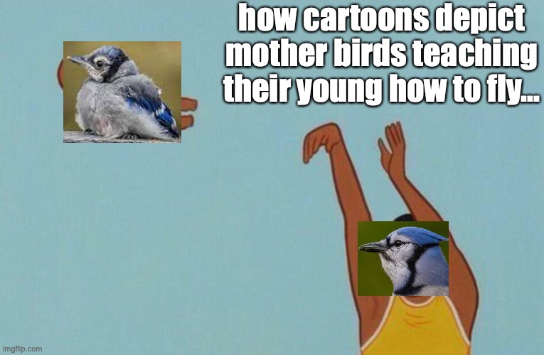 Cartoon bird depiction | how cartoons depict mother birds teaching their young how to fly... | image tagged in baby yeet | made w/ Imgflip meme maker