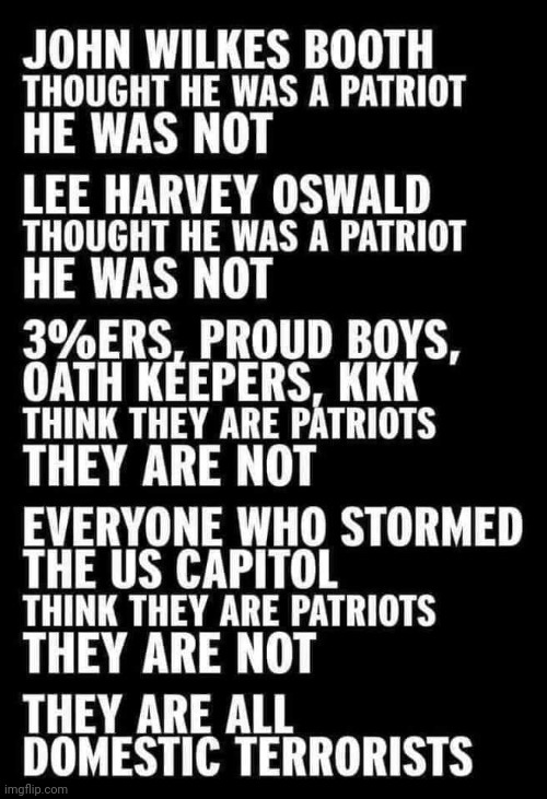 Wrong patriots | image tagged in conservative,republican,election 2020,trump,democrat,liberal | made w/ Imgflip meme maker