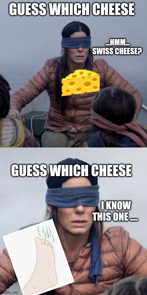 Cheese | GUESS WHICH CHEESE; ...HMM... SWISS CHEESE? GUESS WHICH CHEESE; I KNOW THIS ONE .... | image tagged in memes,bird box,sandra bullock blindfolded,blindfold meme,cheese meme,feet meme | made w/ Imgflip meme maker