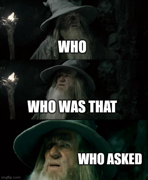 Confused Gandalf | WHO; WHO WAS THAT; WHO ASKED | image tagged in memes,confused gandalf | made w/ Imgflip meme maker