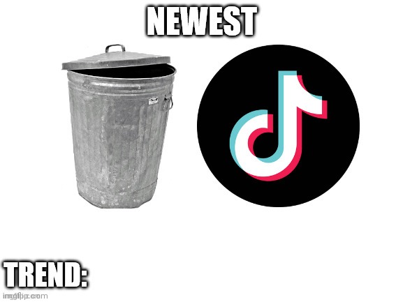 Use this when there is a new shitty tiktok trend | image tagged in newest tikok trend | made w/ Imgflip meme maker