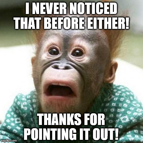 Shocked Monkey | I NEVER NOTICED THAT BEFORE EITHER! THANKS FOR POINTING IT OUT! | image tagged in shocked monkey | made w/ Imgflip meme maker