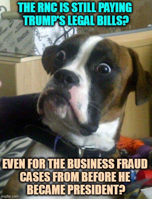 Trump steals money from his supporters, again. | THE RNC IS STILL PAYING 
TRUMP'S LEGAL BILLS? EVEN FOR THE BUSINESS FRAUD 
CASES FROM BEFORE HE 
BECAME PRESIDENT? | image tagged in blankie the shocked dog,trump,fraud,cheat,liar,thief | made w/ Imgflip meme maker