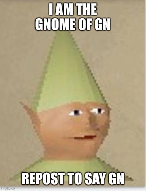 Gnome Child | I AM THE GNOME OF GN; REPOST TO SAY GN | image tagged in gnome child | made w/ Imgflip meme maker