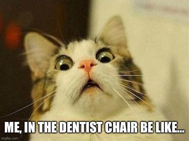 Dentist | ME, IN THE DENTIST CHAIR BE LIKE… | image tagged in memes,scared cat | made w/ Imgflip meme maker