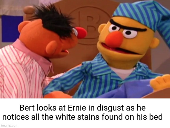 Bert looks horrified | Bert looks at Ernie in disgust as he notices all the white stains found on his bed | image tagged in albert einstein,ernie and bert,bert and ernie,dark humor,white house,stain | made w/ Imgflip meme maker