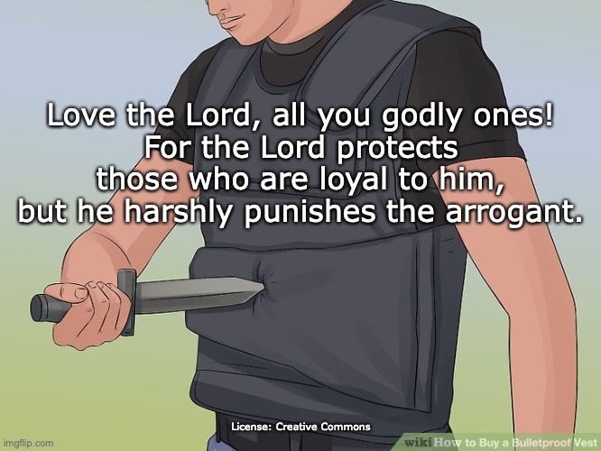 Divine Protection | Love the Lord, all you godly ones!
For the Lord protects those who are loyal to him,
but he harshly punishes the arrogant. License: Creative Commons | image tagged in my rock,my fortress | made w/ Imgflip meme maker