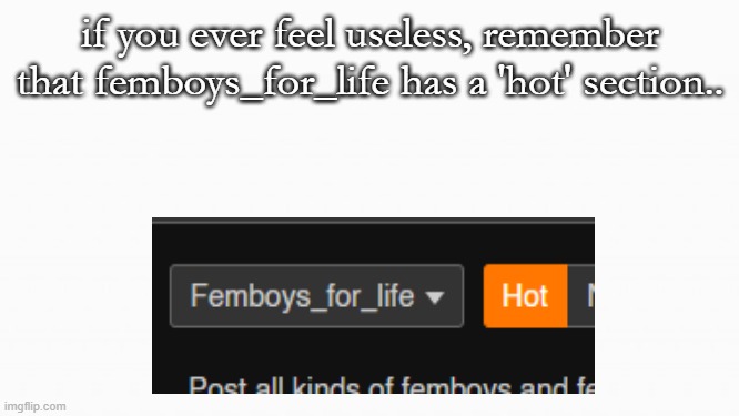 they're all hot tho | if you ever feel useless, remember that femboys_for_life has a 'hot' section.. | image tagged in white box,um,hi,yes | made w/ Imgflip meme maker