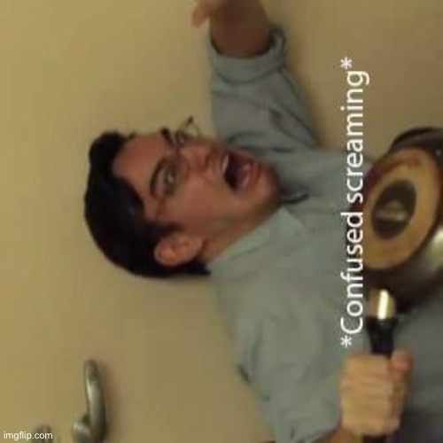 filthy frank confused scream | image tagged in filthy frank confused scream | made w/ Imgflip meme maker