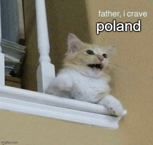 father, I crave violence cat | poland | image tagged in father i crave violence cat | made w/ Imgflip meme maker