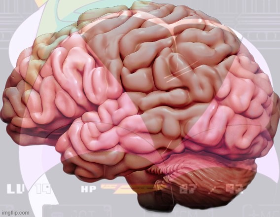 another real picture of my brain | made w/ Imgflip meme maker