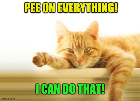 Pointing Cat | PEE ON EVERYTHING! I CAN DO THAT! | image tagged in pointing cat | made w/ Imgflip meme maker