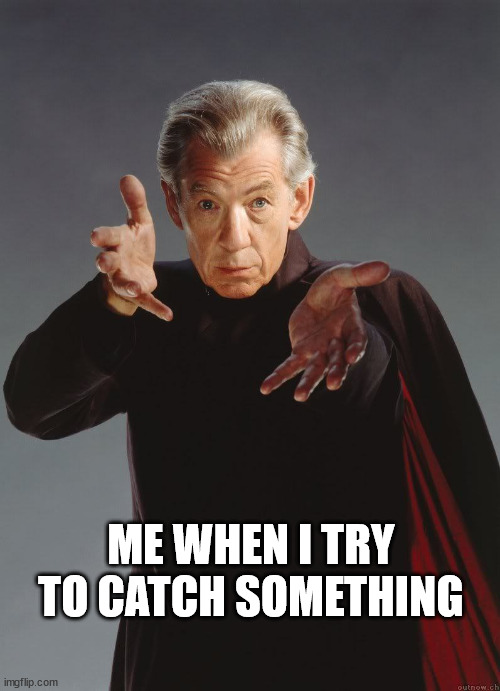 Magneto | ME WHEN I TRY TO CATCH SOMETHING | image tagged in magneto | made w/ Imgflip meme maker