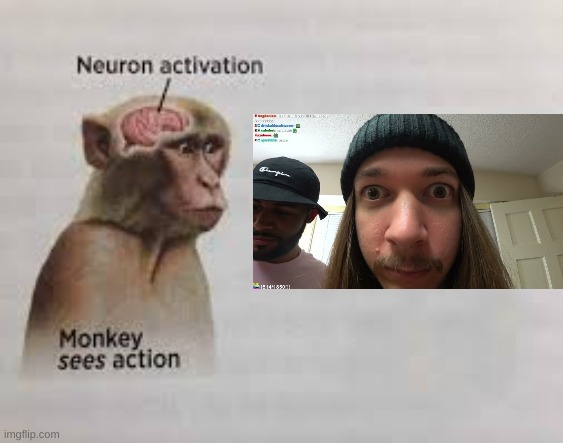 MMMMMMMMMMMMMMMMMMMONKEEEEEEEEEEEEEEEEEEEEEEEEE | made w/ Imgflip meme maker