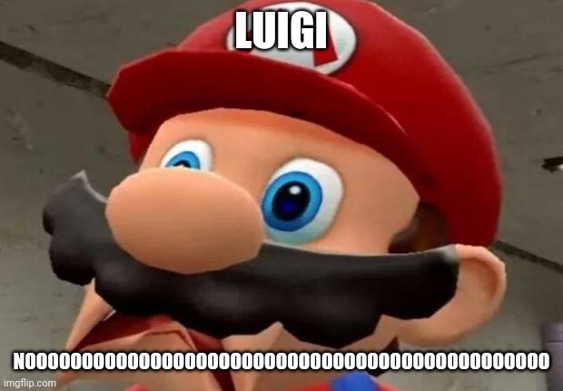 Mario WTF | LUIGI NOOOOOOOOOOOOOOOOOOOOOOOOOOOOOOOOOOOOOOOOOOOOOO | image tagged in mario wtf | made w/ Imgflip meme maker
