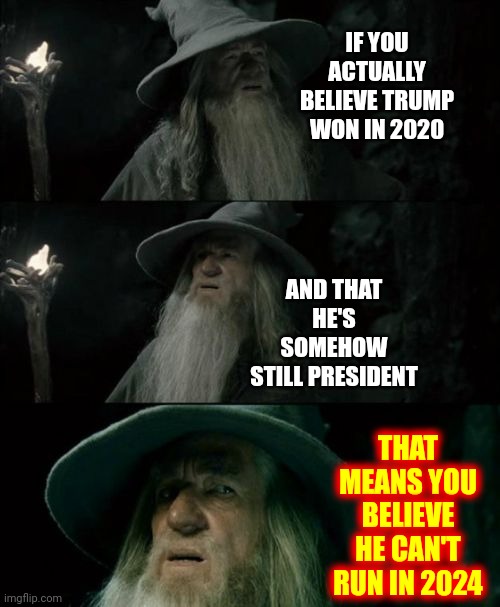 Logic | IF YOU ACTUALLY BELIEVE TRUMP WON IN 2020; AND THAT HE'S SOMEHOW STILL PRESIDENT; THAT MEANS YOU BELIEVE HE CAN'T RUN IN 2024 | image tagged in memes,confused gandalf,trumpublican terrorists,conservative hypocrisy,think before you speak,conservative logic | made w/ Imgflip meme maker