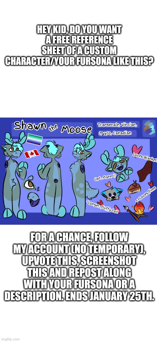 HEY KID, DO YOU WANT A FREE REFERENCE SHEET OF A CUSTOM CHARACTER/YOUR FURSONA LIKE THIS? FOR A CHANCE, FOLLOW MY ACCOUNT (NO TEMPORARY), UPVOTE THIS, SCREENSHOT THIS AND REPOST ALONG WITH YOUR FURSONA OR A DESCRIPTION. ENDS JANUARY 25TH. | image tagged in blank white template | made w/ Imgflip meme maker