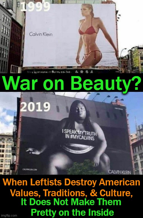 “Outer beauty pleases the EYE. Inner beauty captivates the HEART.” | War on Beauty? When Leftists Destroy American
Values, Traditions, & Culture, It Does Not Make Them 
Pretty on the Inside | image tagged in politics,liberal vs conservative,beauty,liberalism,division,america | made w/ Imgflip meme maker