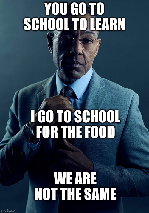 gus | YOU GO TO SCHOOL TO LEARN; I GO TO SCHOOL FOR THE FOOD; WE ARE NOT THE SAME | image tagged in gus fring we are not the same | made w/ Imgflip meme maker