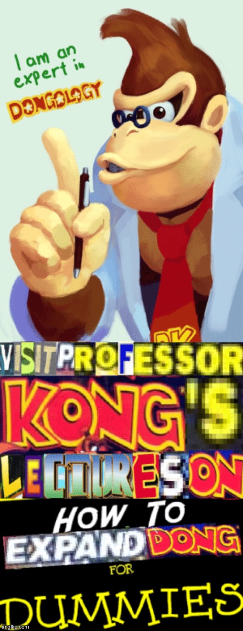DK Expert in dongology | image tagged in dk expert in dongology | made w/ Imgflip meme maker