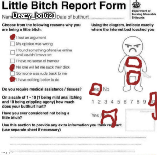 Little bitch report form | Beany_boi621 | image tagged in little bitch report form | made w/ Imgflip meme maker