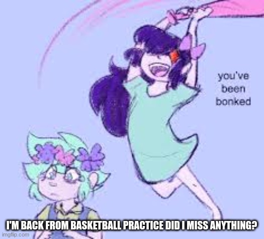 you've been bonked | I'M BACK FROM BASKETBALL PRACTICE DID I MISS ANYTHING? | image tagged in you've been bonked | made w/ Imgflip meme maker