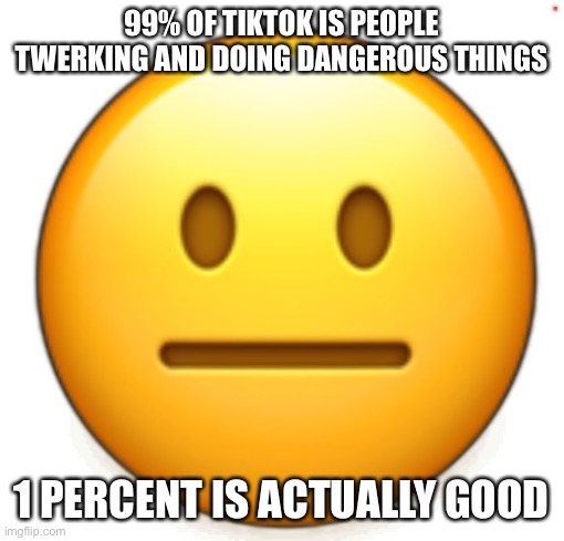 Yes | 99% OF TIKTOK IS PEOPLE TWERKING AND DOING DANGEROUS THINGS; 1 PERCENT IS ACTUALLY GOOD | image tagged in dang bro | made w/ Imgflip meme maker