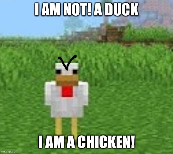 Minecraft chicken | I AM NOT! A DUCK; I AM A CHICKEN! | image tagged in minecraft,chicken | made w/ Imgflip meme maker