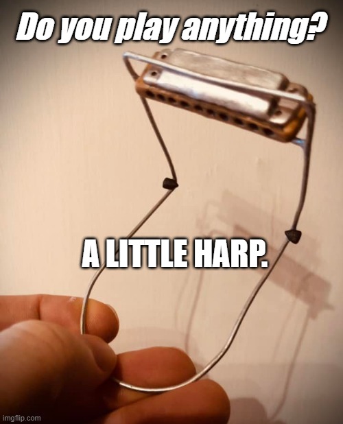 A little harp | Do you play anything? A LITTLE HARP. | image tagged in music,pun,satire,hum,blues,harmonica | made w/ Imgflip meme maker