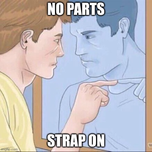mirror guy | NO PARTS; STRAP ON | image tagged in pointing mirror guy | made w/ Imgflip meme maker