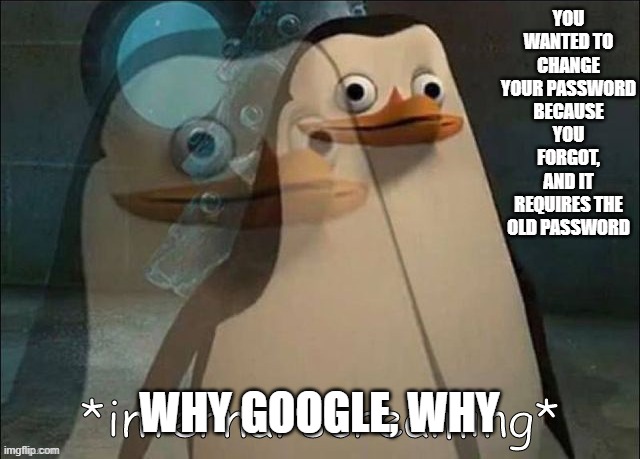 Private Internal Screaming | YOU WANTED TO CHANGE YOUR PASSWORD BECAUSE YOU FORGOT, AND IT REQUIRES THE OLD PASSWORD; WHY GOOGLE, WHY | image tagged in private internal screaming,password | made w/ Imgflip meme maker